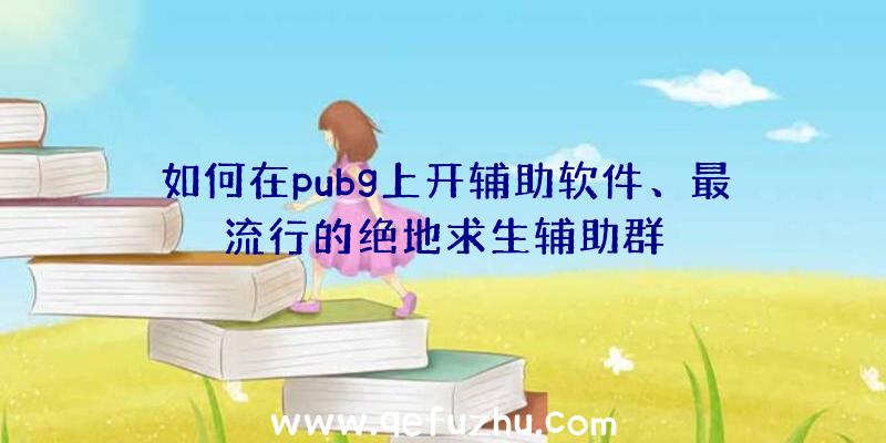 如何在pubg上开辅助软件、最流行的绝地求生辅助群