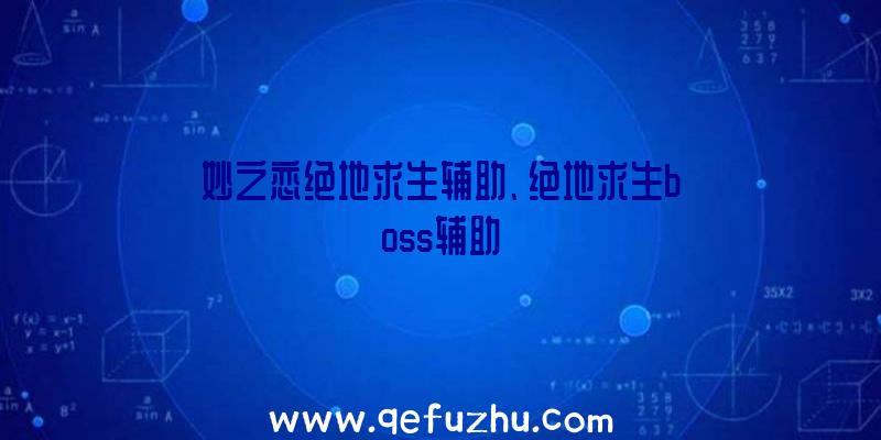妙之恋绝地求生辅助、绝地求生boss辅助