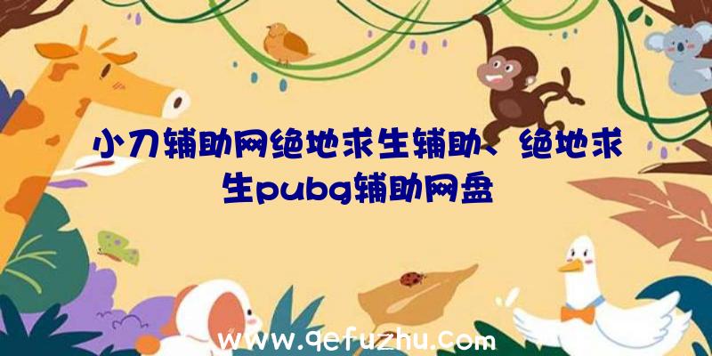 小刀辅助网绝地求生辅助、绝地求生pubg辅助网盘