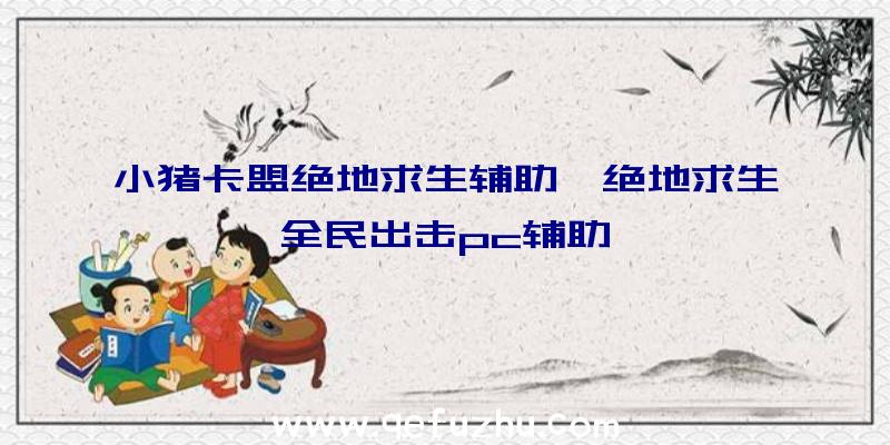 小猪卡盟绝地求生辅助、绝地求生全民出击pc辅助