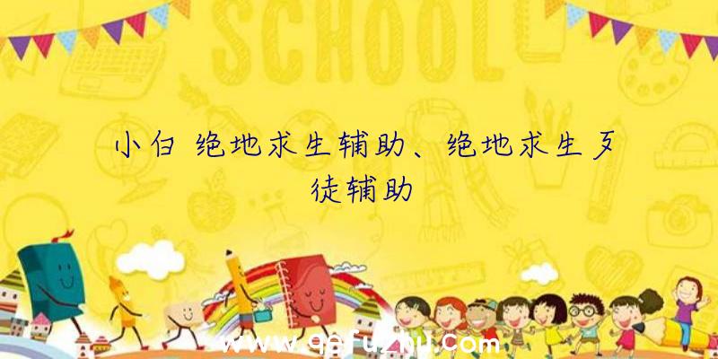 小白+绝地求生辅助、绝地求生歹徒辅助