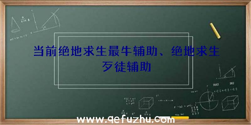 当前绝地求生最牛辅助、绝地求生歹徒辅助