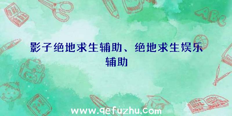影子绝地求生辅助、绝地求生娱乐辅助