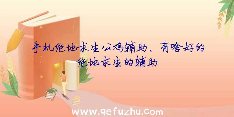 手机绝地求生公鸡辅助、有啥好的绝地求生的辅助