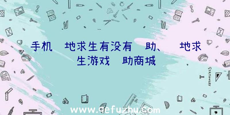 手机绝地求生有没有辅助、绝地求生游戏辅助商城