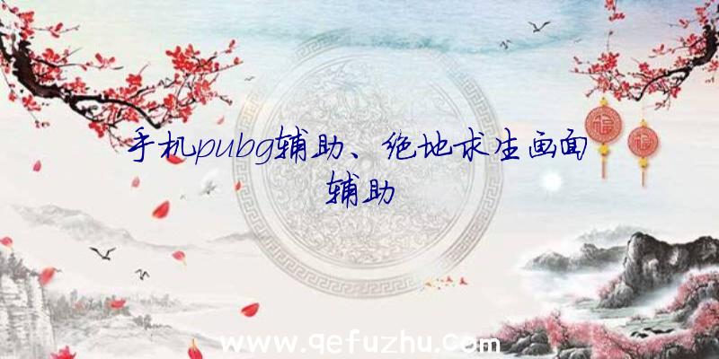 手机pubg辅助、绝地求生画面辅助