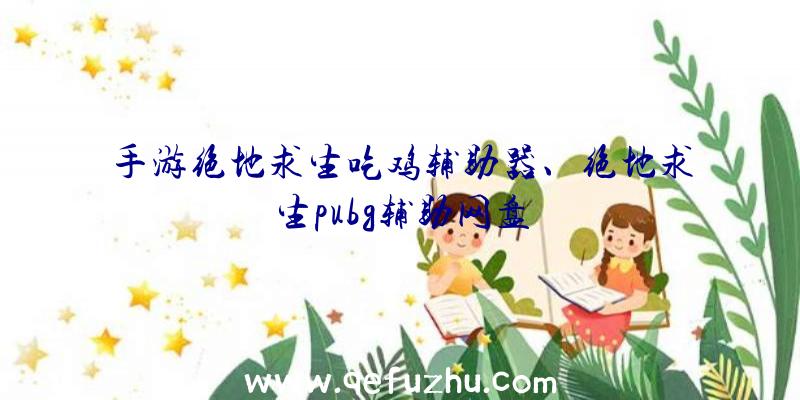 手游绝地求生吃鸡辅助器、绝地求生pubg辅助网盘