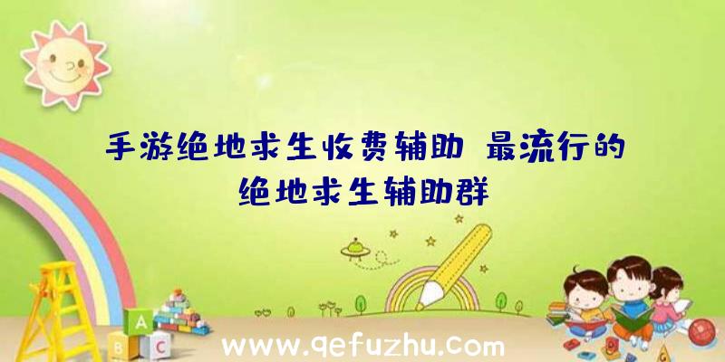 手游绝地求生收费辅助、最流行的绝地求生辅助群