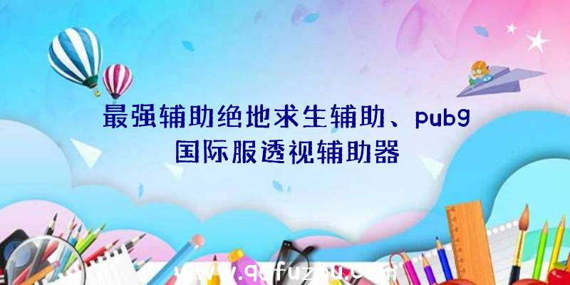 最强辅助绝地求生辅助、pubg国际服透视辅助器