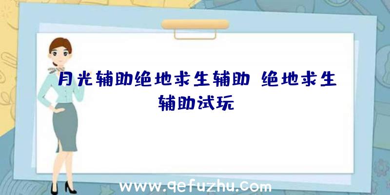 月光辅助绝地求生辅助、绝地求生辅助试玩