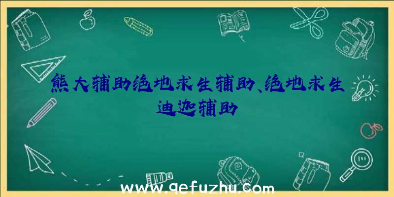 熊大辅助绝地求生辅助、绝地求生迪迦辅助