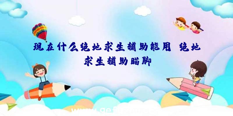 现在什么绝地求生辅助能用、绝地求生辅助瞄脚