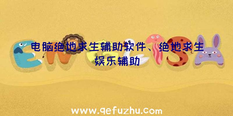 电脑绝地求生辅助软件、绝地求生娱乐辅助