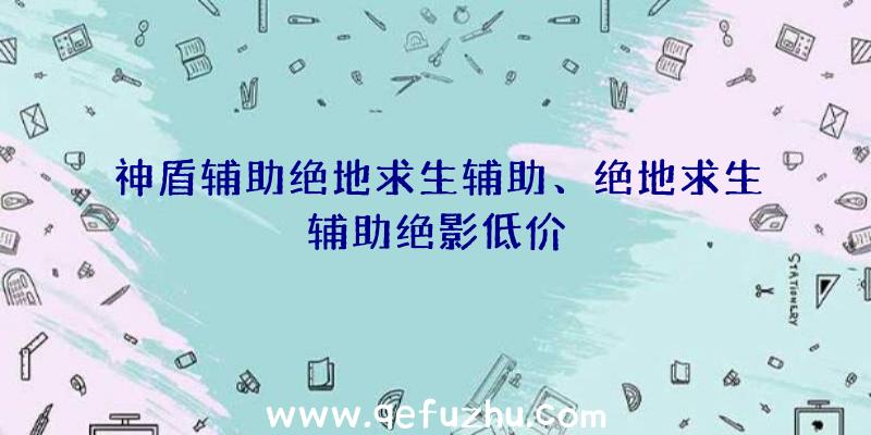 神盾辅助绝地求生辅助、绝地求生辅助绝影低价