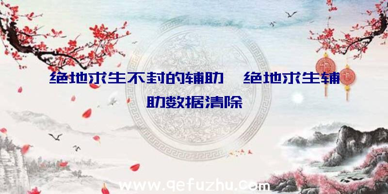 绝地求生不封的辅助、绝地求生辅助数据清除