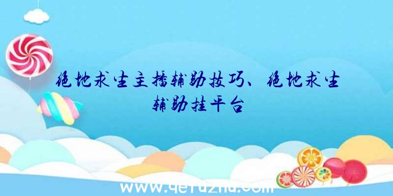 绝地求生主播辅助技巧、绝地求生辅助挂平台