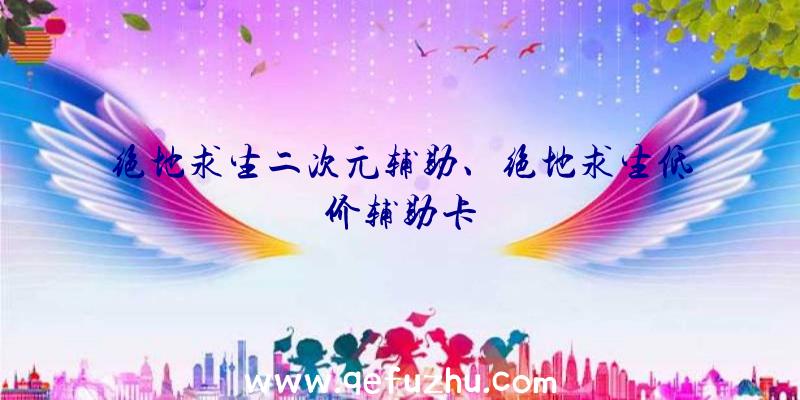 绝地求生二次元辅助、绝地求生低价辅助卡