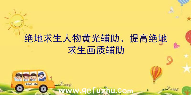 绝地求生人物黄光辅助、提高绝地求生画质辅助