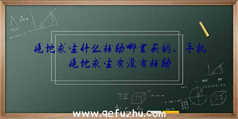 绝地求生什么辅助哪里买的、手机绝地求生有没有辅助