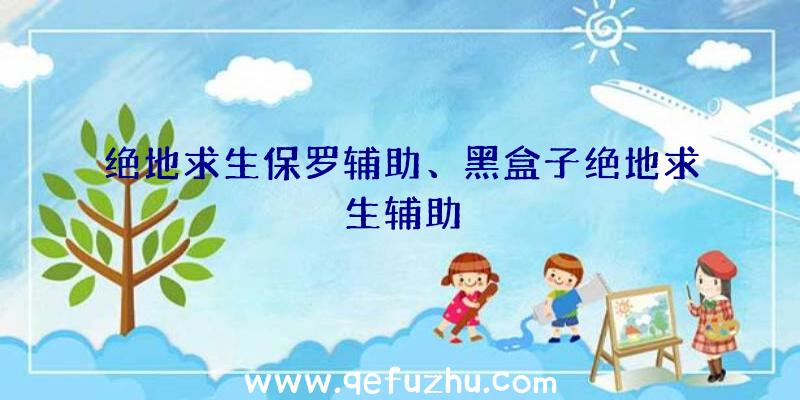 绝地求生保罗辅助、黑盒子绝地求生辅助