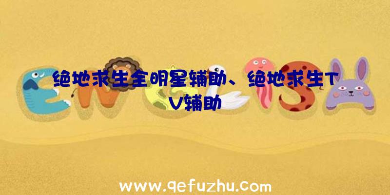 绝地求生全明星辅助、绝地求生TV辅助