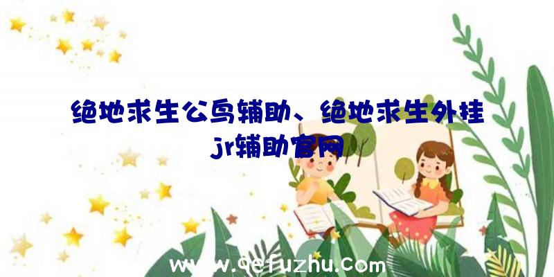 绝地求生公鸟辅助、绝地求生外挂jr辅助官网