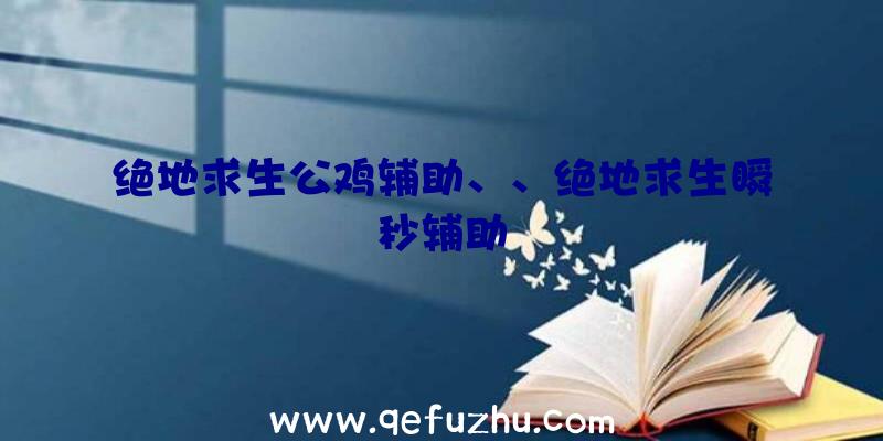 绝地求生公鸡辅助、、绝地求生瞬秒辅助