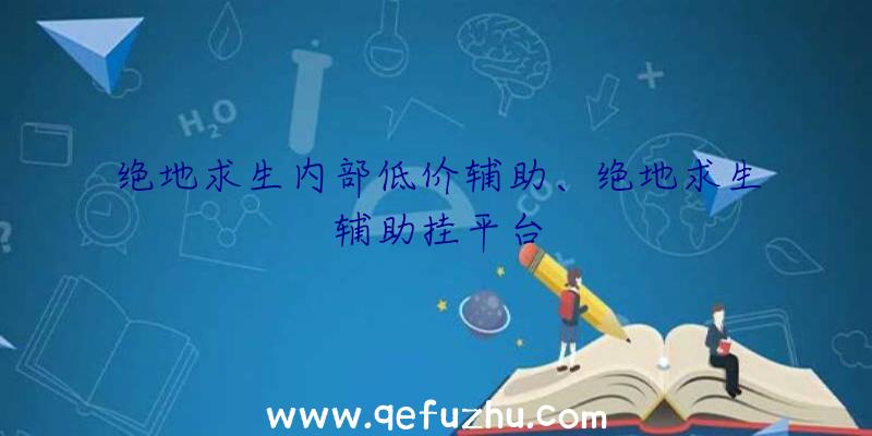 绝地求生内部低价辅助、绝地求生辅助挂平台