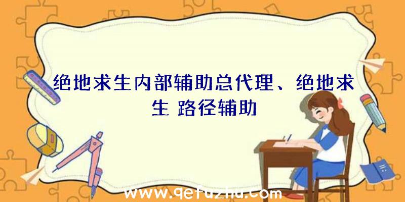 绝地求生内部辅助总代理、绝地求生