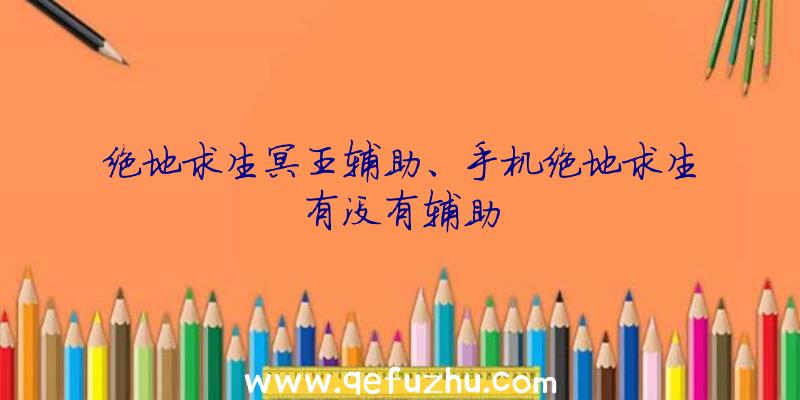 绝地求生冥王辅助、手机绝地求生有没有辅助