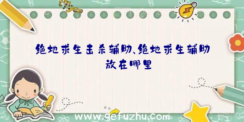 绝地求生击杀辅助、绝地求生辅助