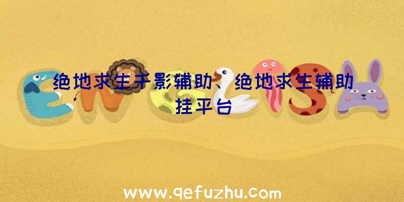 绝地求生千影辅助、绝地求生辅助挂平台