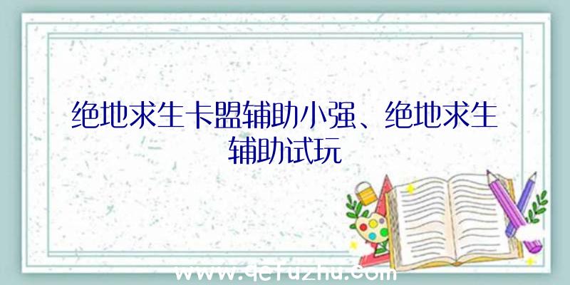 绝地求生卡盟辅助小强、绝地求生辅助试玩