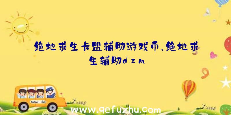 绝地求生卡盟辅助游戏币、绝地求生辅助dzm