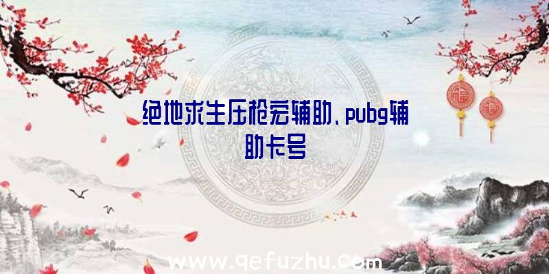 绝地求生压枪宏辅助、pubg辅助卡号