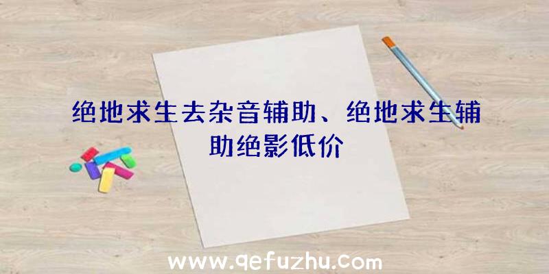 绝地求生去杂音辅助、绝地求生辅助绝影低价