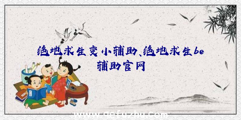 绝地求生变小辅助、绝地求生be辅助官网