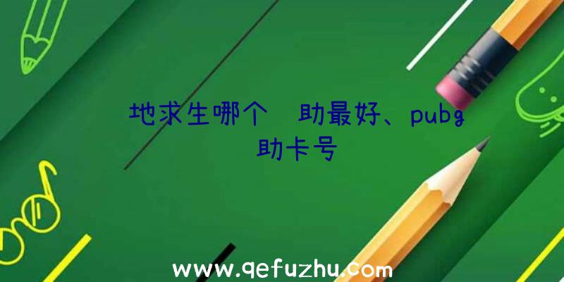 绝地求生哪个辅助最好、pubg辅助卡号
