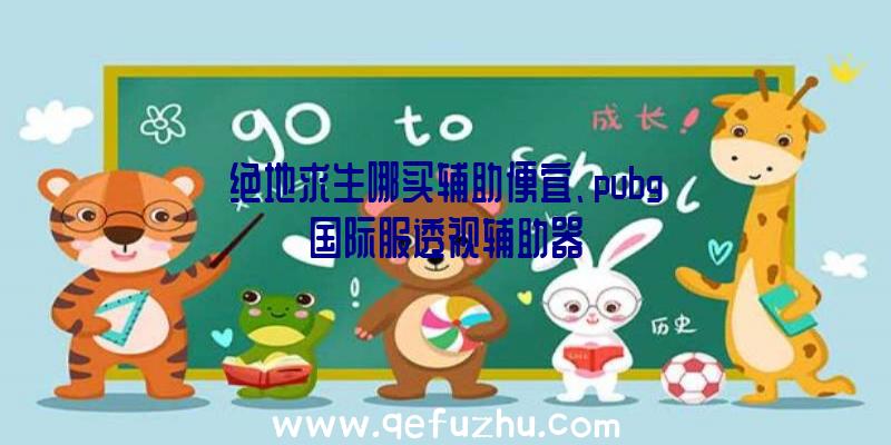 绝地求生哪买辅助便宜、pubg国际服透视辅助器