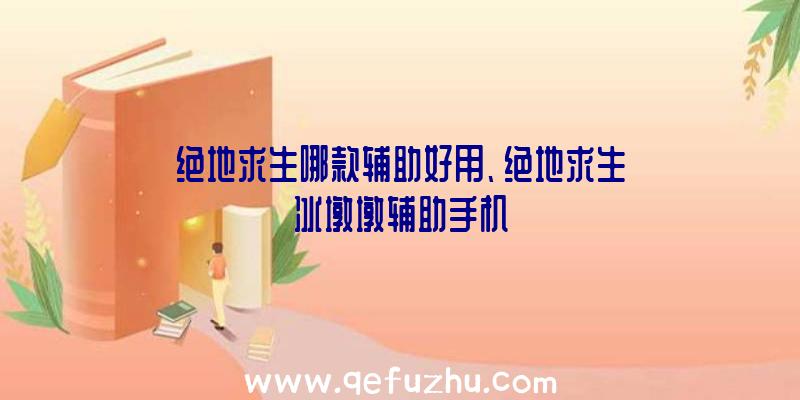 绝地求生哪款辅助好用、绝地求生冰墩墩辅助手机
