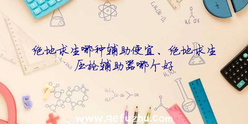 绝地求生哪种辅助便宜、绝地求生压枪辅助器哪个好
