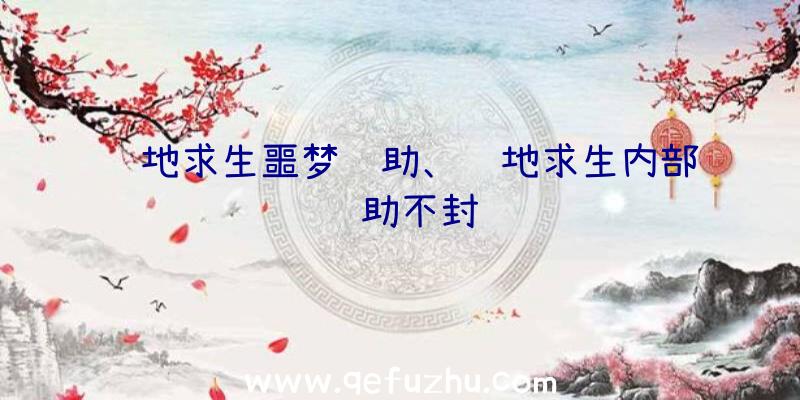 绝地求生噩梦辅助、绝地求生内部辅助不封