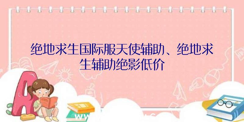绝地求生国际服天使辅助、绝地求生辅助绝影低价