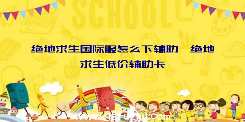 绝地求生国际服怎么下辅助、绝地求生低价辅助卡