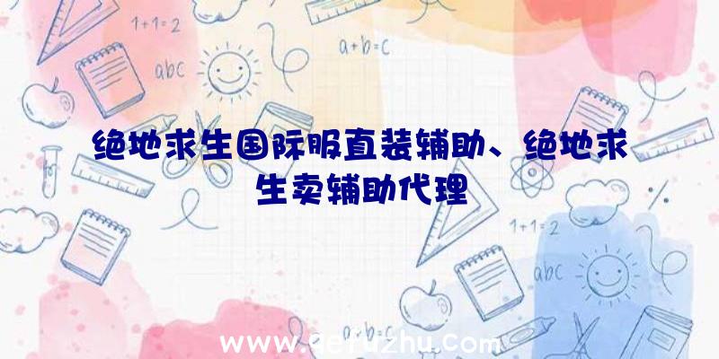 绝地求生国际服直装辅助、绝地求生卖辅助代理