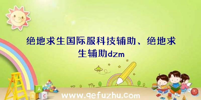 绝地求生国际服科技辅助、绝地求生辅助dzm