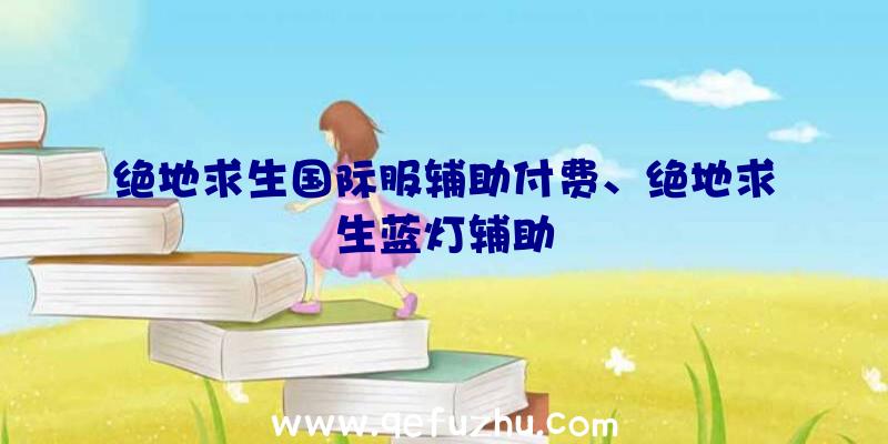 绝地求生国际服辅助付费、绝地求生蓝灯辅助