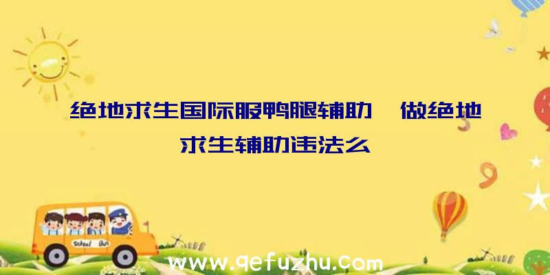 绝地求生国际服鸭腿辅助、做绝地求生辅助违法么