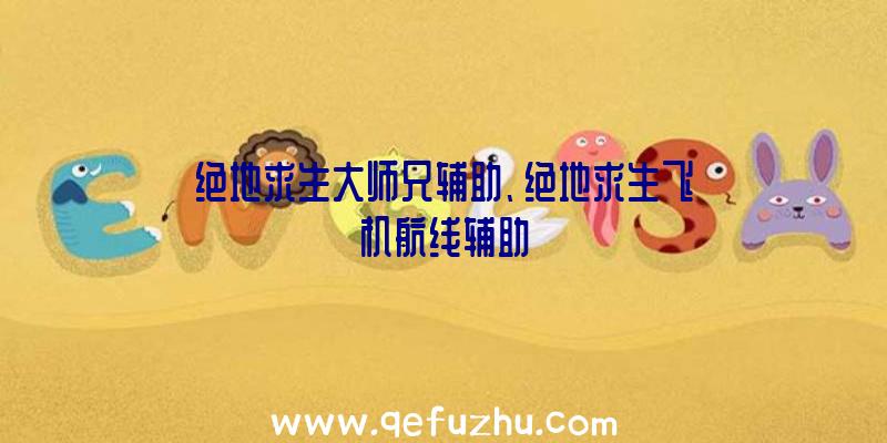 绝地求生大师兄辅助、绝地求生飞机航线辅助