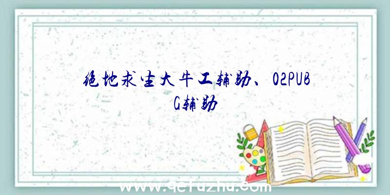 绝地求生大牛工辅助、02PUBG辅助